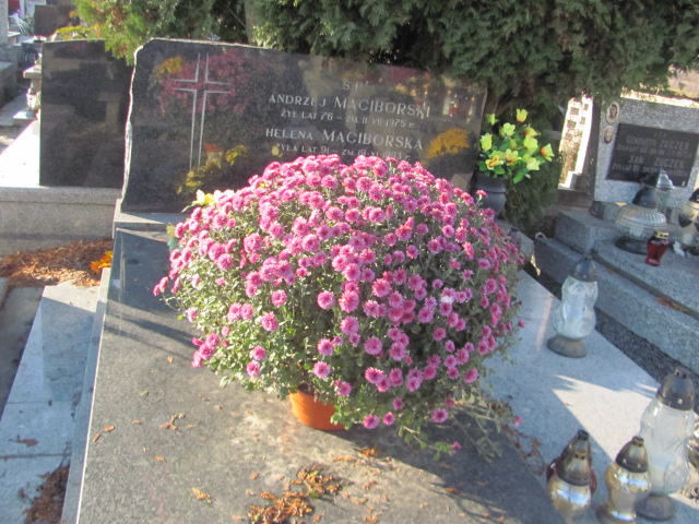 Grób Andrzej  Maciborski 