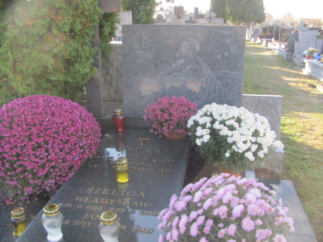 Grób Ludwika Kawka