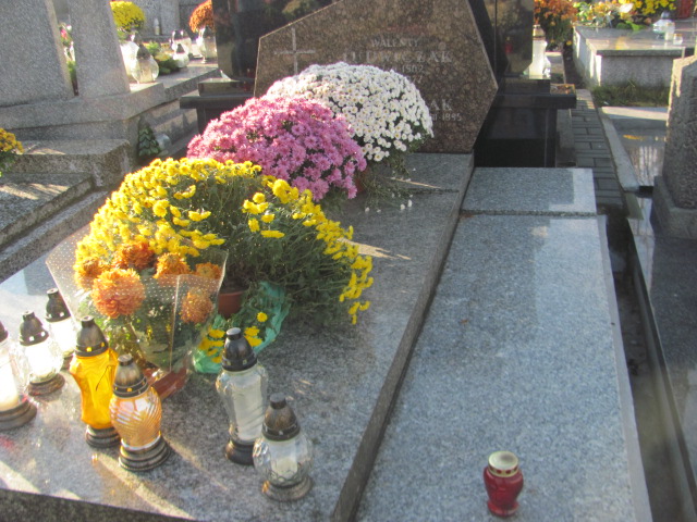 Grób Halina Ludwiczak