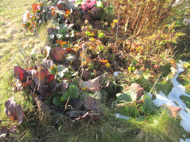 Andrzej Pieniążek 1944 Jazgarzew - Grobonet - Wyszukiwarka osób pochowanych