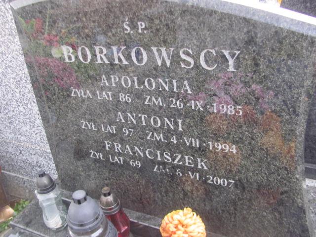 Apolonia Borkowska Jazgarzew - Grobonet - Wyszukiwarka osób pochowanych