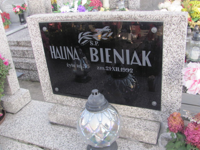 Helena Olszak Jazgarzew - Grobonet - Wyszukiwarka osób pochowanych