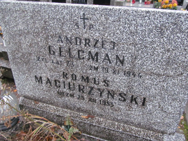 Roman Maciurzyński 1953 Jazgarzew - Grobonet - Wyszukiwarka osób pochowanych