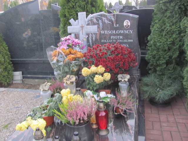 Grób Stranisława Wesołowska